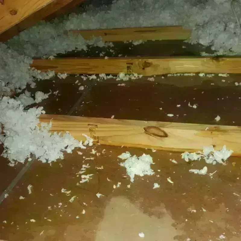 Attic Water Damage in Quincy, FL