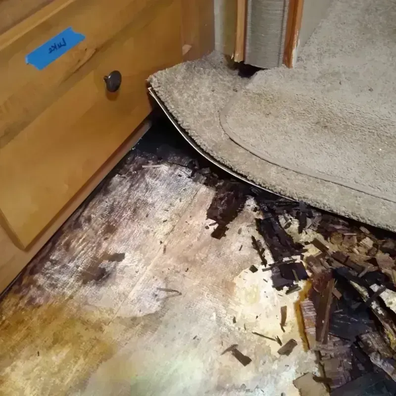 Wood Floor Water Damage in Quincy, FL